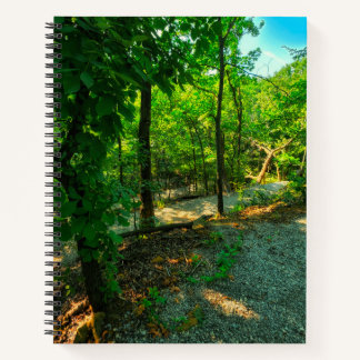 Belleza en el cuaderno de Woods