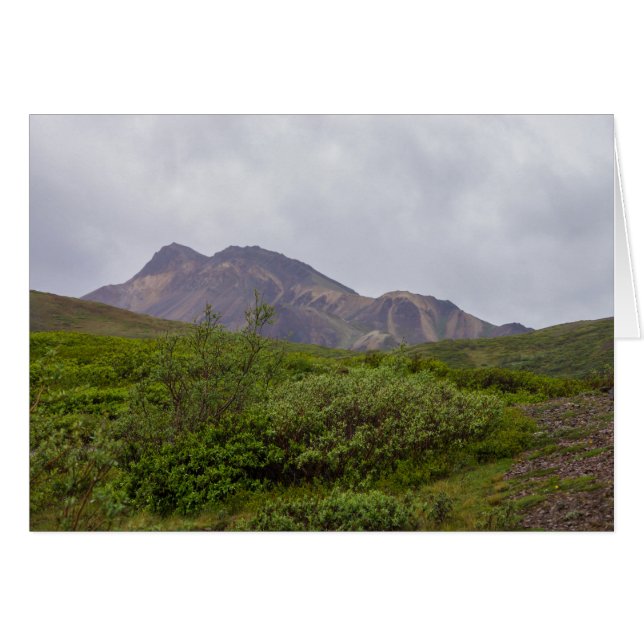 Belleza Giratoria En Denali (Anverso (Horizontal))