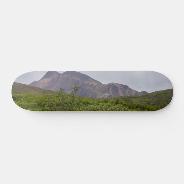 Belleza Giratoria En Denali Skateboard (Horz)