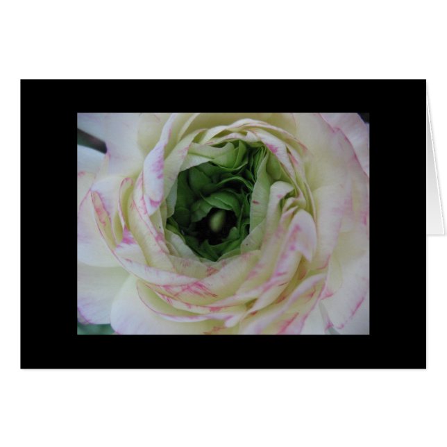 Belleza interna (Anverso (Horizontal))