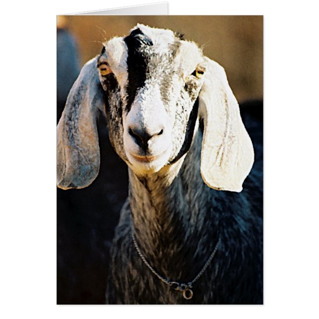 Belleza nubia (Frente)