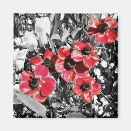 Belleza selectiva: imán de flores de anémona