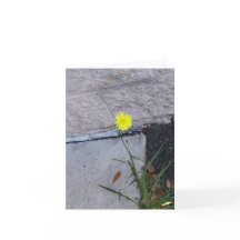 Belleza testaruda 2 en una tarjeta de nota