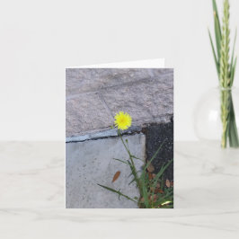 Belleza testaruda 2 en una tarjeta de nota