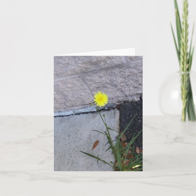 Belleza testaruda 2 en una tarjeta de nota (Anverso)