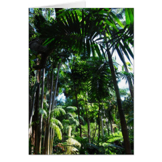 Belleza tropical