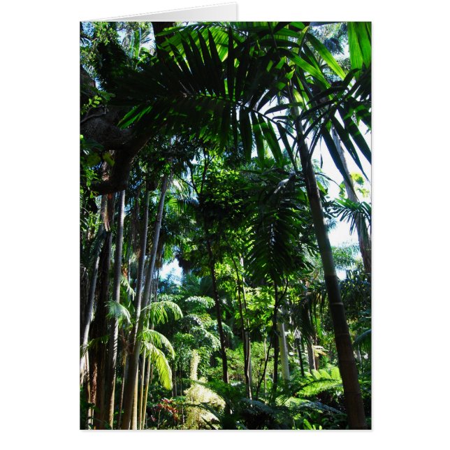 Belleza tropical (Frente)