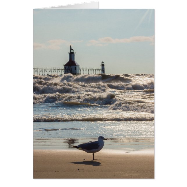 Belleza Y Fuerza (Frente)