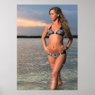Bellezas Costeras de Carolina: Póster de Calendari