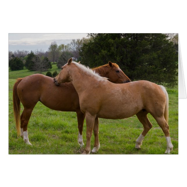 Bellezas de baño (Anverso (Horizontal))