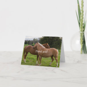 Bellezas de baño - Tarjeta de agradecimiento