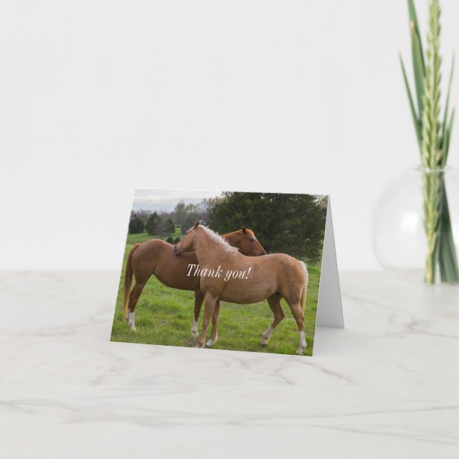 Bellezas de baño - Tarjeta de agradecimiento (Anverso)