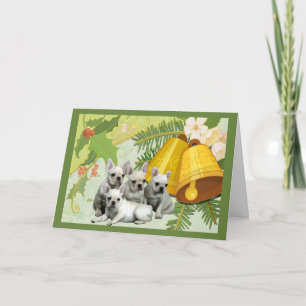 Bellezas de tarjetas de Navidades de Bulldog franc