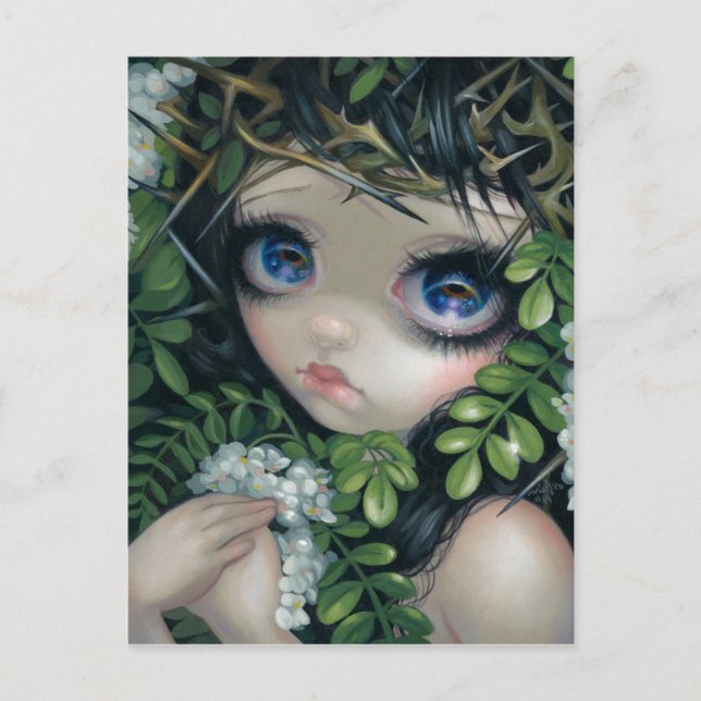 "Bellezas envenenadas XII: Postal Black Locust (Anverso)