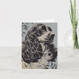 bello cocker spaniel
