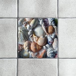 Bellos Azulejos Cuadrados de Conchas Marinas Vida