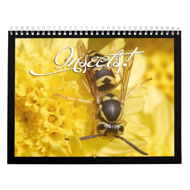 Bellos Insectos Calendario 2018 (Tapa)
