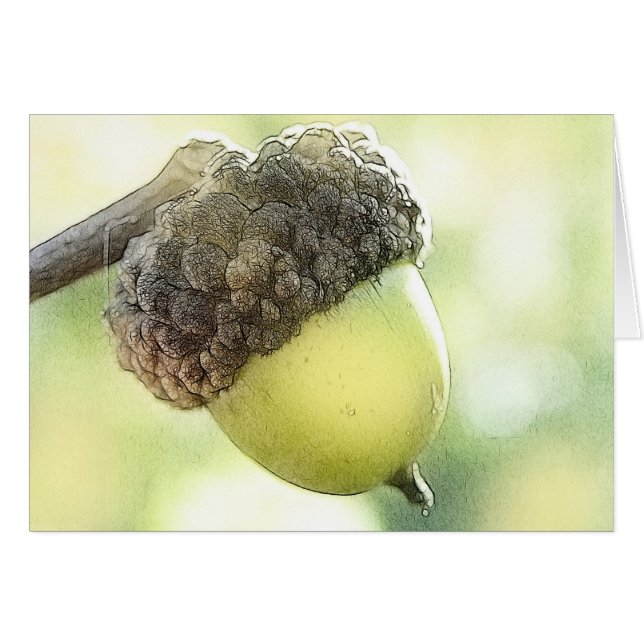 Bellota (Anverso (Horizontal))