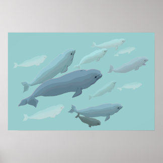 Beluga Arte de ballenas Imprimir a Marinelife Post
