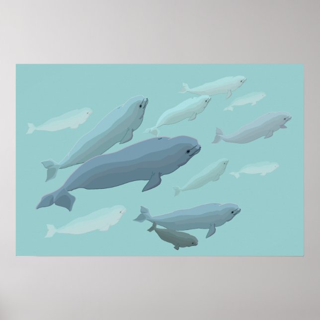 Beluga Arte de ballenas Imprimir a Marinelife Post (Frente)