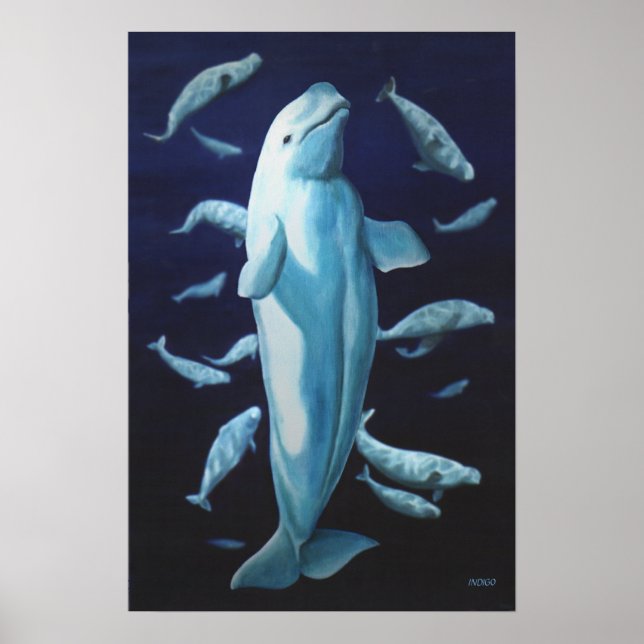 Beluga Arte de ballenas Imprimir pintura de ballen (Frente)