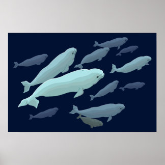 Beluga Arte de ballenas Imprimir pintura de ballen