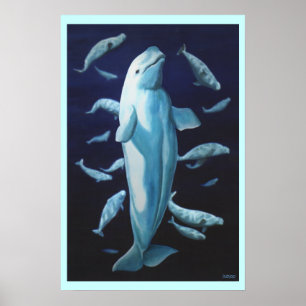 Beluga Arte de ballenas Imprimir pintura de ballen