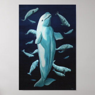 Beluga Arte de ballenas Imprimir pintura de ballen