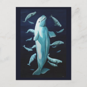 Beluga Whale postale tarjetas de ballena canadiens