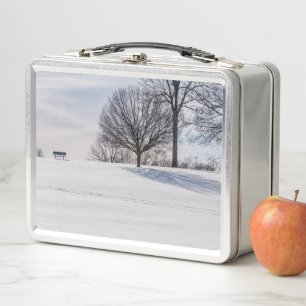 Bench On Snow CoverHill