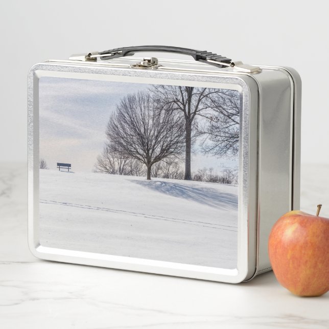 Bench On Snow CoverHill (In situ)