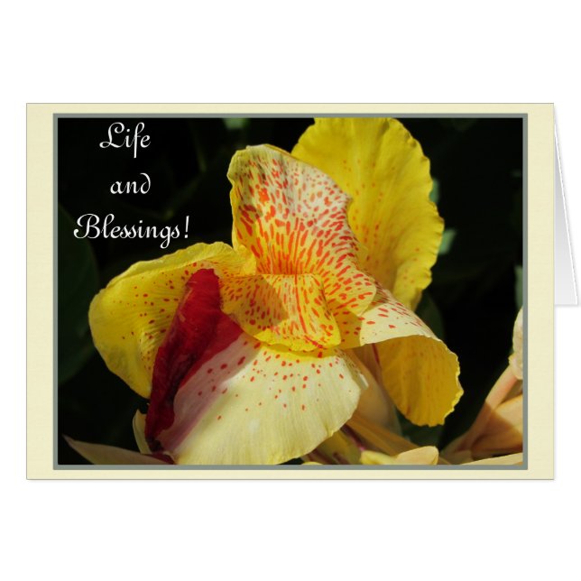 ¡Bendiciones de vida! (Anverso (Horizontal))