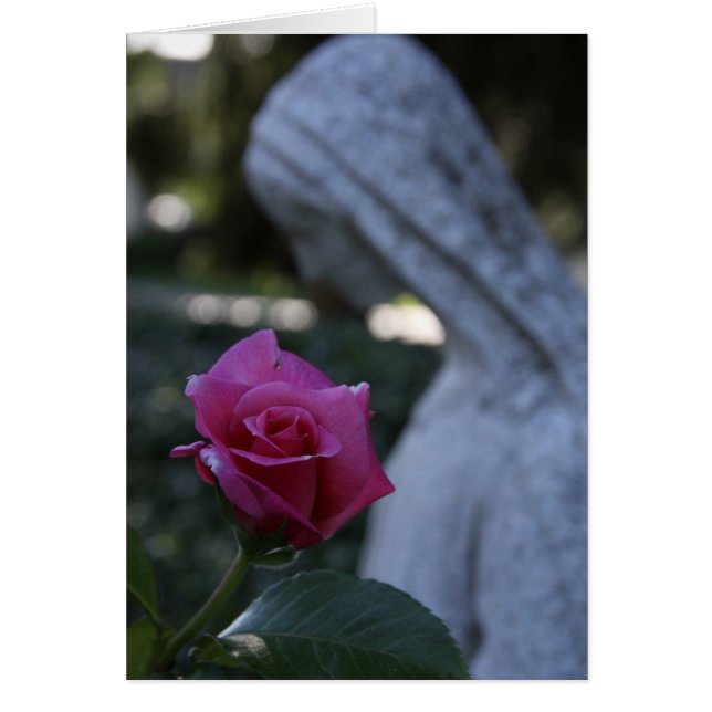 Bendita Mary y el Rosa (Frente)