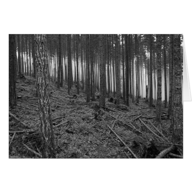 Benson Meadows (Anverso (Horizontal))