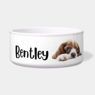 Bentley - bol personalizado para perros y gatos