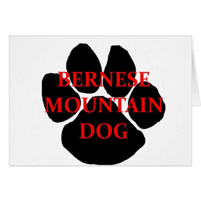 ber mt dog name paw.png (Anverso (Horizontal))