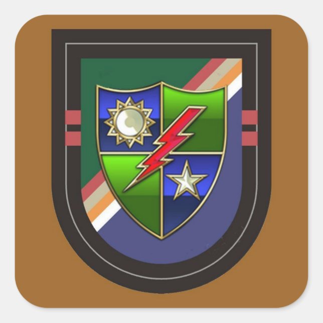 Beret Flash New 2D Bn RANGER Pegatinas (Anverso)