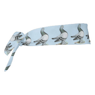Berliner Tumbler Pigeon Blue Bar