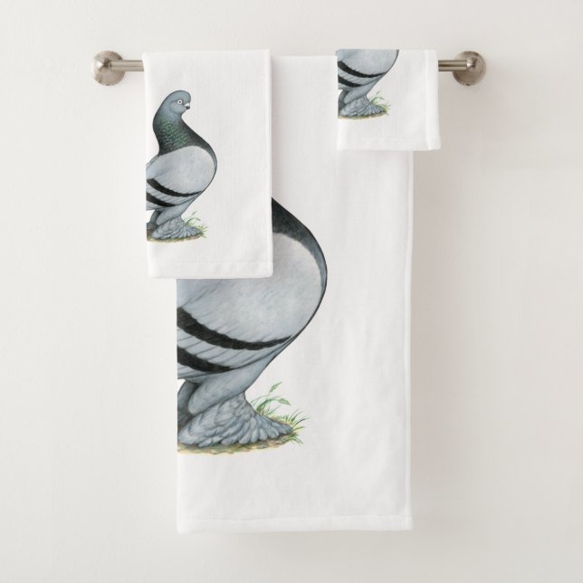 Berliner Tumbler Pigeon Blue Bar (In situ)