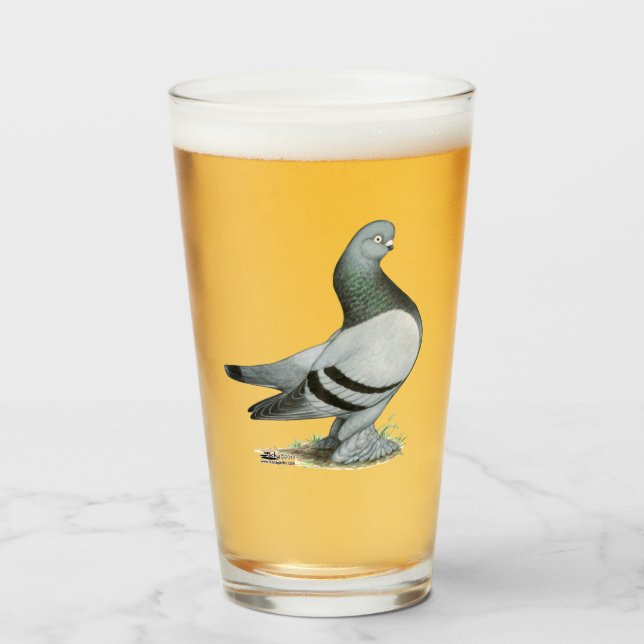 Berliner Tumbler Pigeon Blue Bar (Anverso (lleno))
