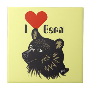 Bern Berna Berna Suiza Suiza Azulejo