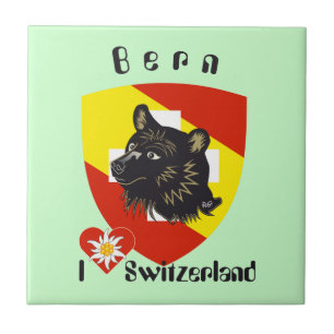 Berna bernesa Bernesa Suiza Suisse baldosa