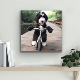 Bernedoodle Bike Rider Decoración de Pared Metaliz