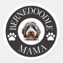Bernedoodle Mama Pegatina
