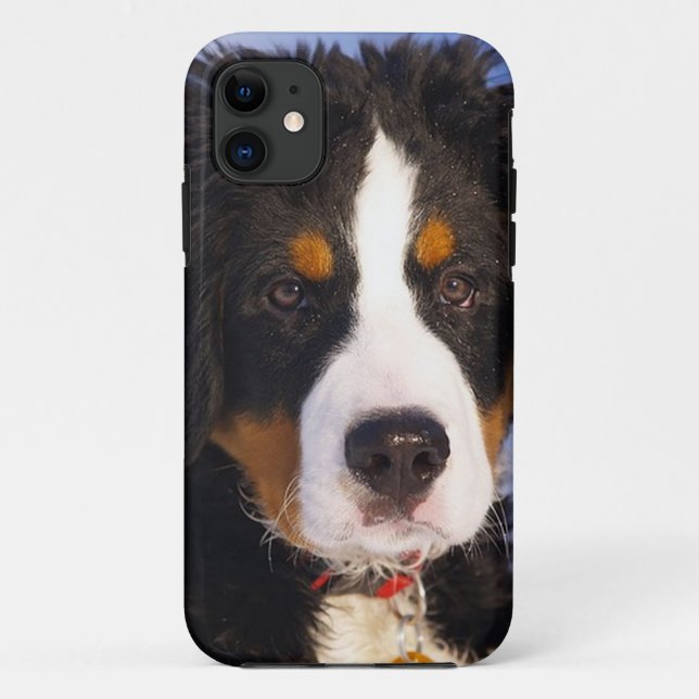 Bernese Mountain Dog Pup iPhone 5 funda (Reverso)