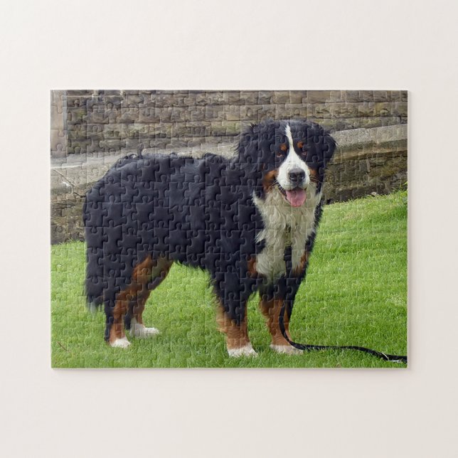 Bernese Mountain dog Puzzle (Horizontal)