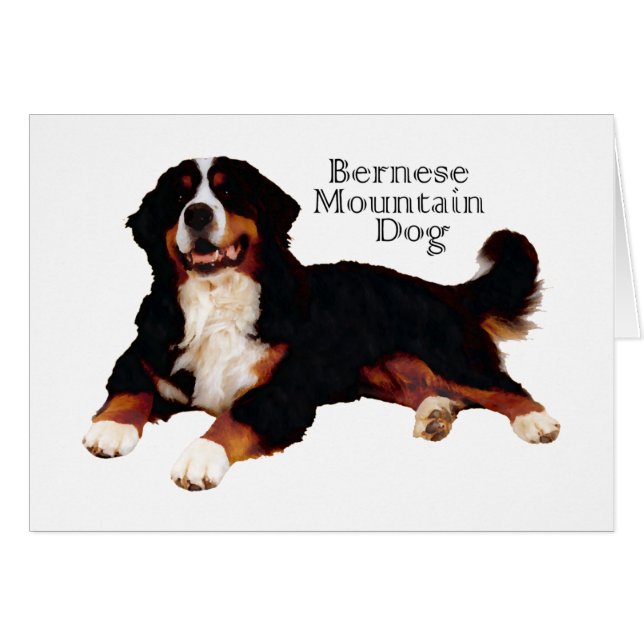 BERNESE Mt. Dog (Anverso (Horizontal))