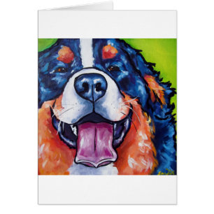 Bernese Mt Dog