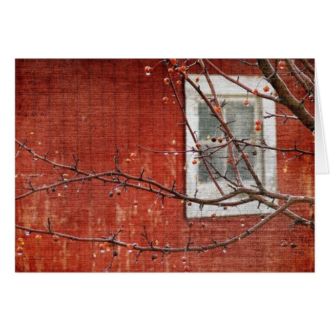 Berries y Red Barn (Anverso (Horizontal))