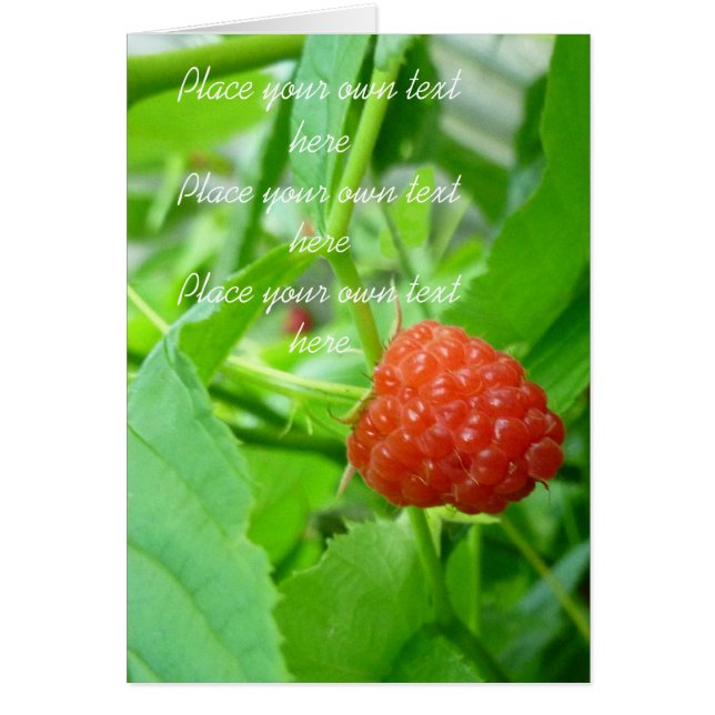 Berry Berry Raspberry Card (Frente)
